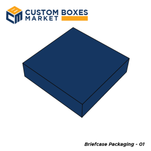 Briefcase Packaging